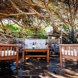 https://stintino-casa-capo-falcone.in-sardinia.net